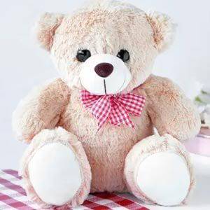 12 Inch Teddy