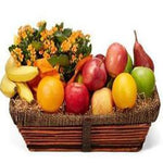Long Basket Of Fresh Fruits 6 Kg