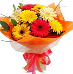 Congrats Dear - Mix Gerbera Flowers