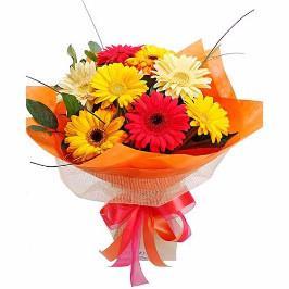 Delightful Gerbera Bouquet