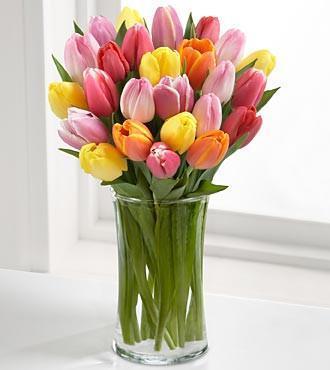 10 Mixed Tulips In Glass Vase