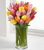 10 Mixed Tulips In Glass Vase