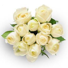 White Love - White Rose Hand Bouquet