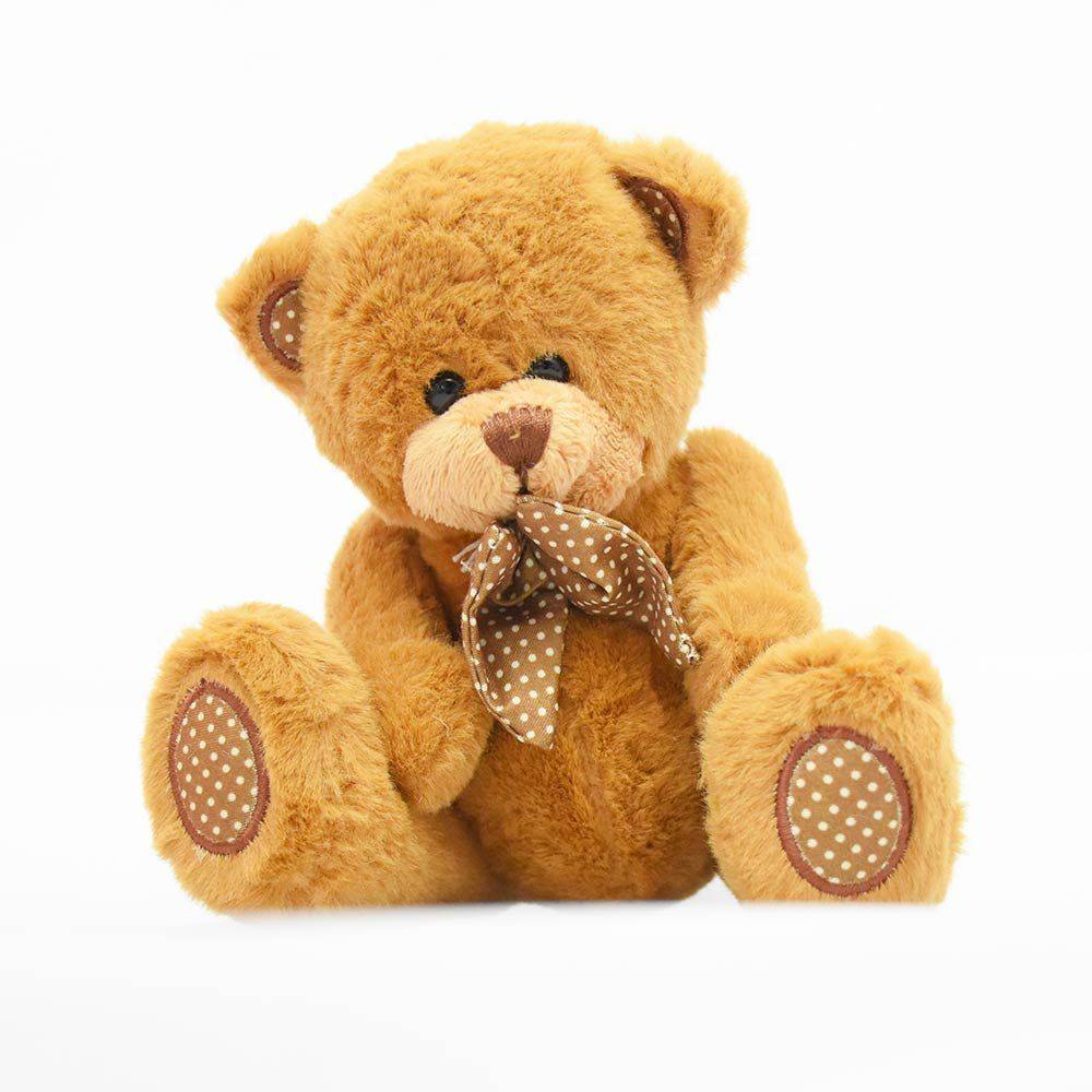 12Inch Adorable Teddy Bear Surprise