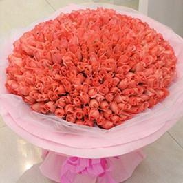 143 Pink Roses Premium - Lovely Bouquet