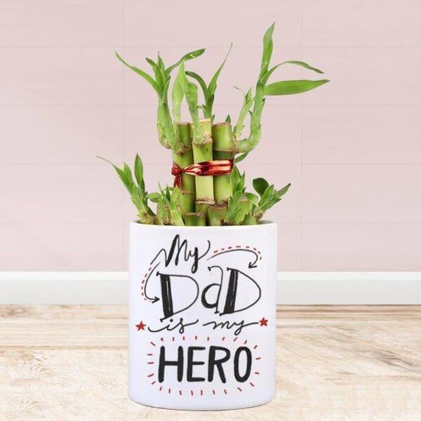 2 Layer Bamboo in My Dad My Hero Mug