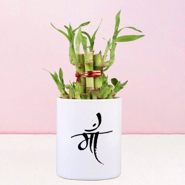 2 Layer-Bamboo Plant In Maa Mug