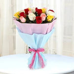 Bright And Colorful Day