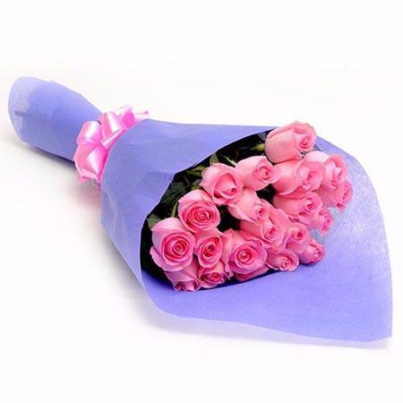20 Pink Roses Premium Bunch