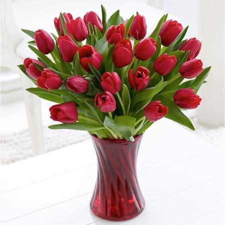 20 Red Tulips In A Glass Vase