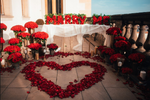 Absolute Love - 1000 Red Roses Bouquet