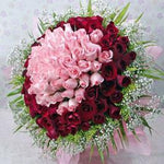 75 Red And Pink Roses