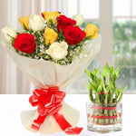 Flowers N Plant Treat