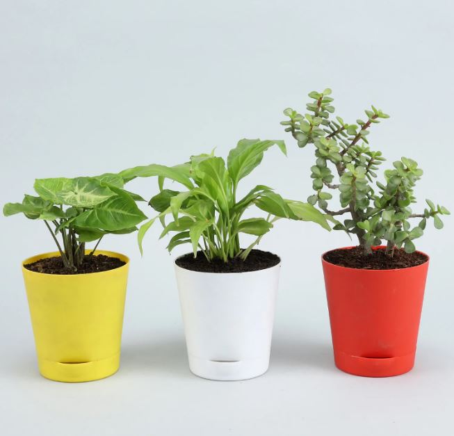 Cozy Gift For Daughter's Day