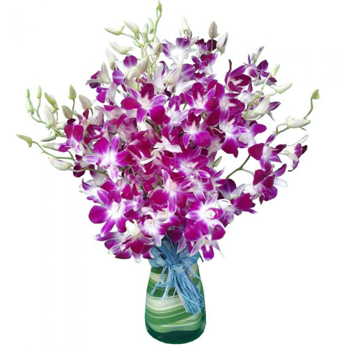 Mothers Day Orchid Corsage
