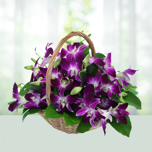 Sparkling Basket