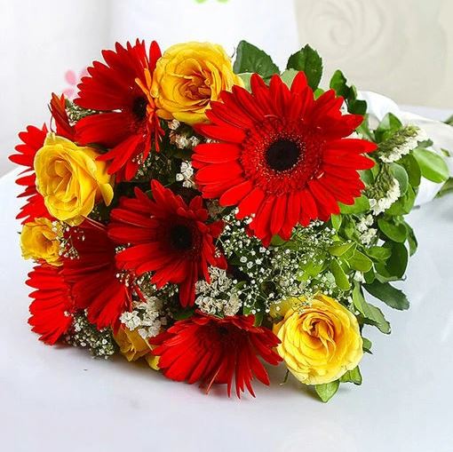 Sunshine Red Fantasy