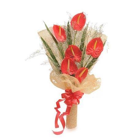 Lovely Anthuriums