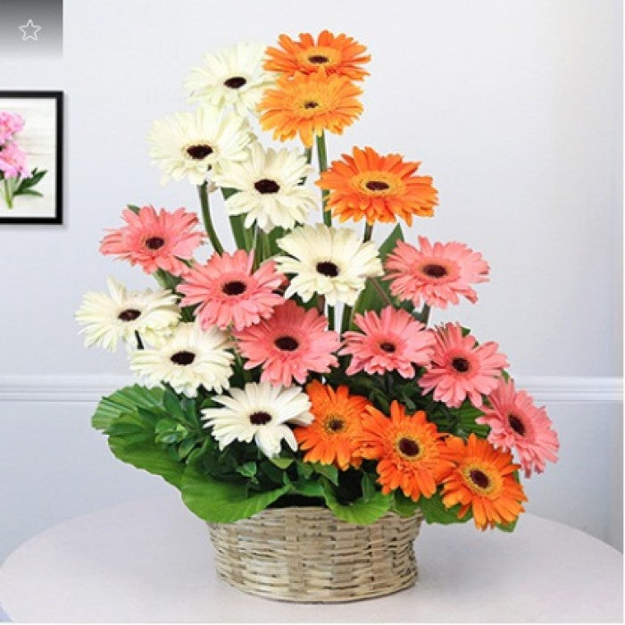 Elegant Gerberas