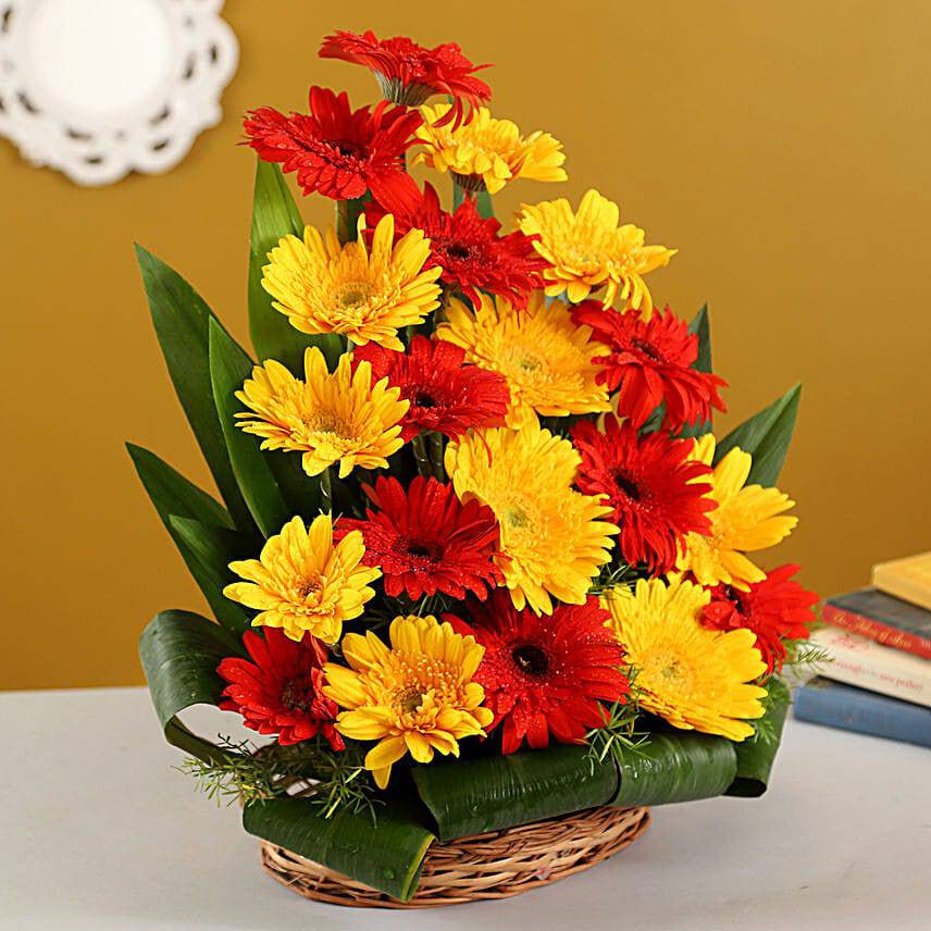 Buy/Send Beautiful Red & Yellow Gerberas Arrangement Online- YuvaFlowers
