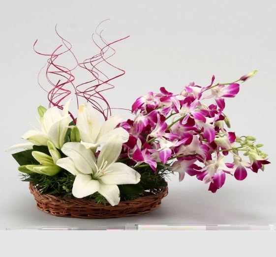 Our Passion For Flowers