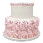Elegant Style In 2 Tier Theme Cake
