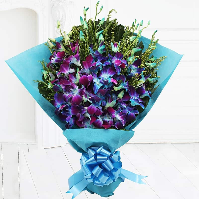 Colorful Flowers