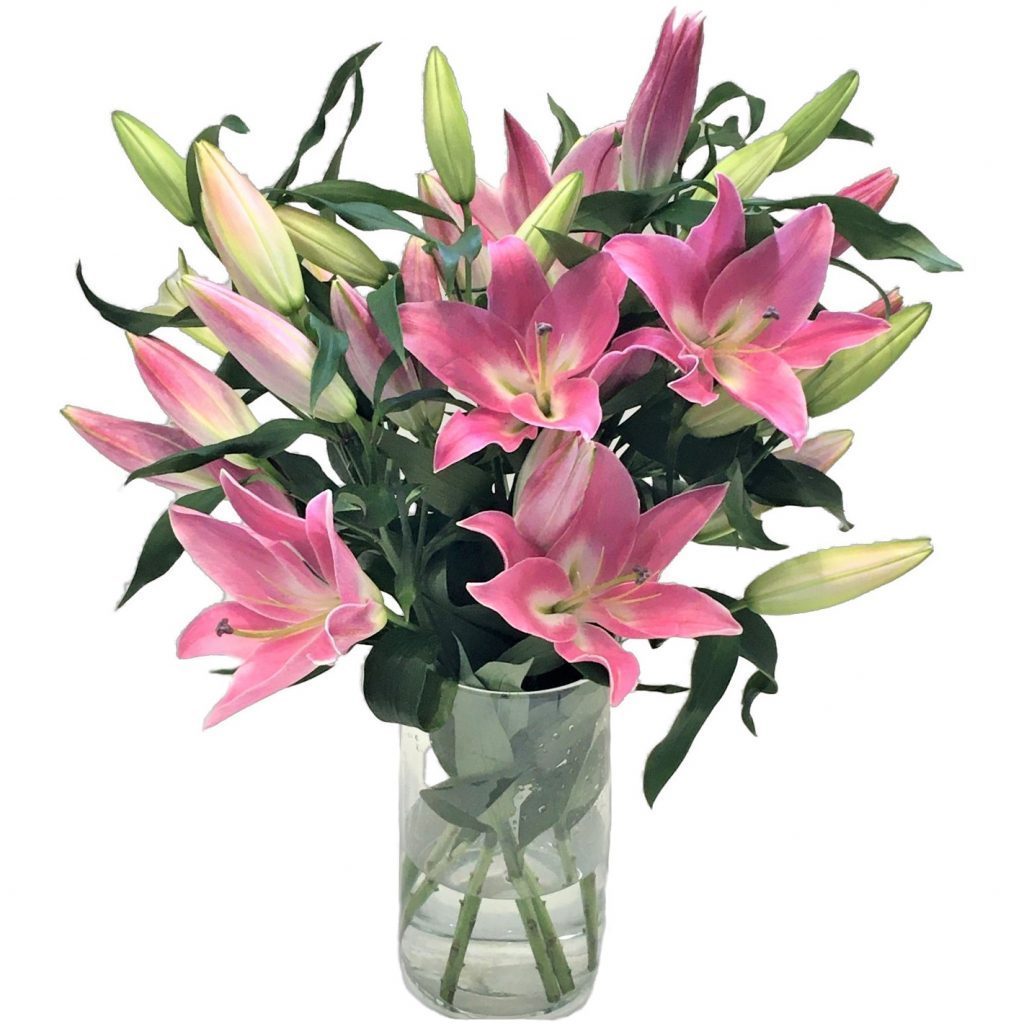 Mothers Day Lilies