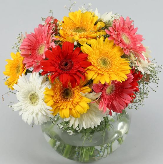 Multi Colored Flower For Grandparents