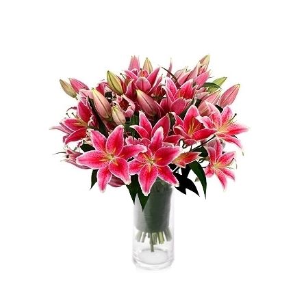 Lilies Of The Field