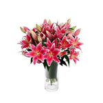 Lilies Of The Field