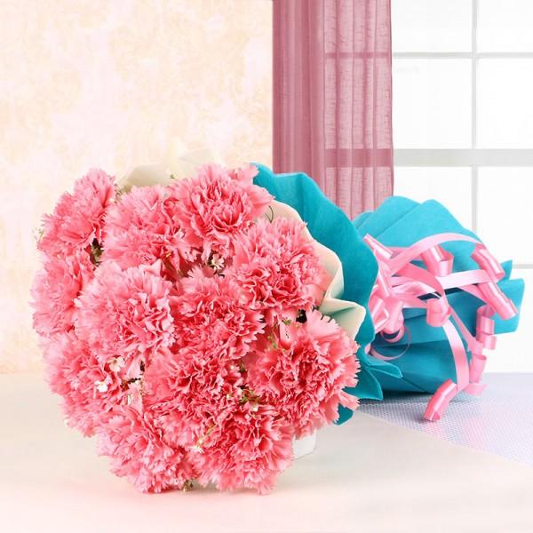 Graceful Pink Carnation