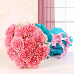 Graceful Pink Carnation