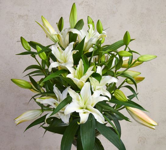 Calla Lily Bouquet Mothers Day