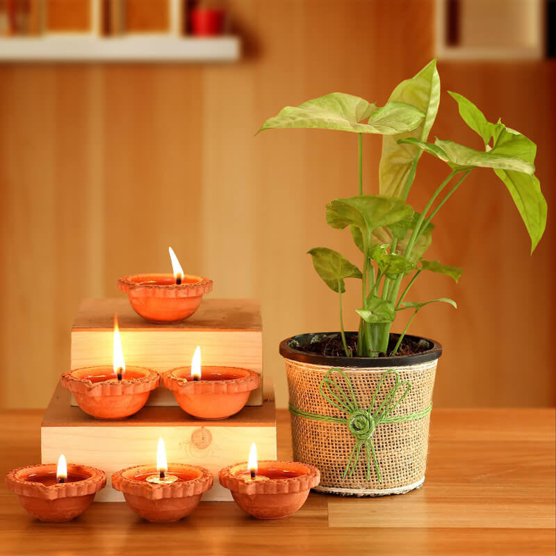 Natural Diwali Smile