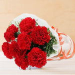 Magnificent Carnation