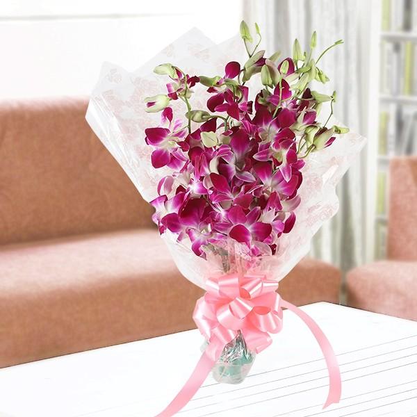 Orchid Mania