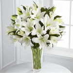 Perfumed Peace Memory