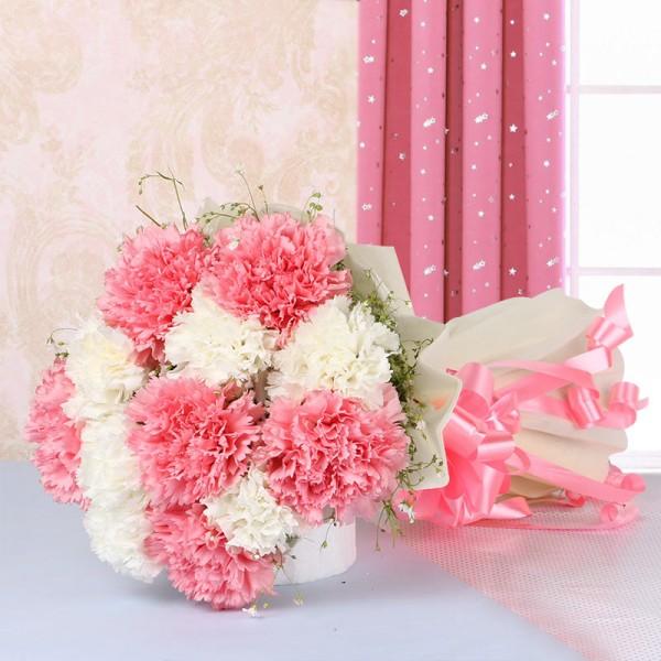 Pink And White Carnival
