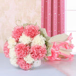 Pink And White Carnival