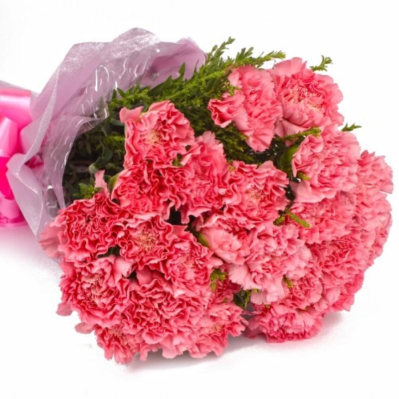 Pink Beauty Delight