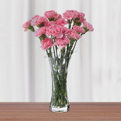 Carnations Bunch