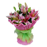 Pink Fair