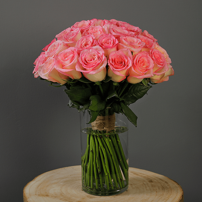 Pink Roses