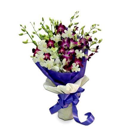 Purple And White Orchids