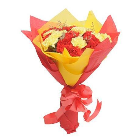 Red And Yellow Carnations Premium