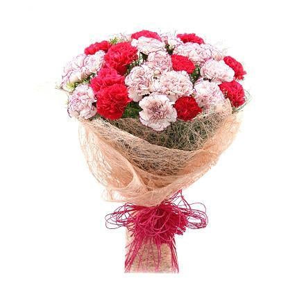 Red And Purple Carnations