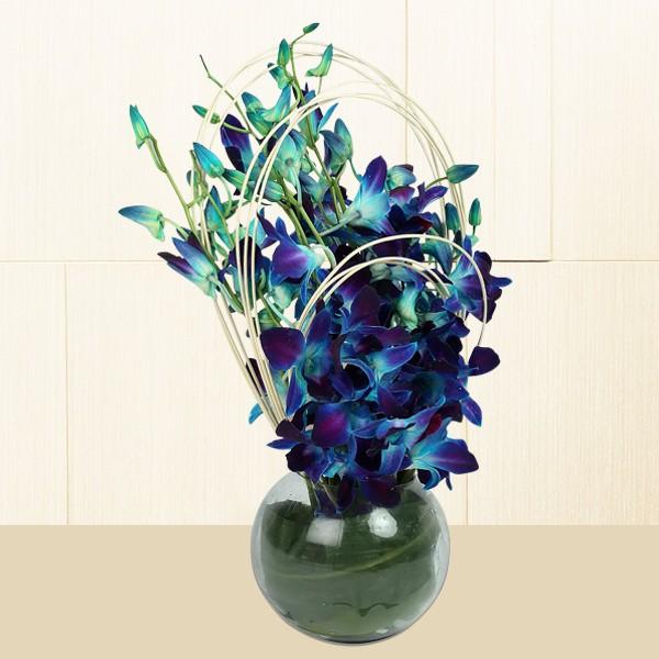 Sprinkle Blue Orchids