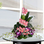 Flowers For New Mom