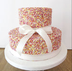 Multicolour 2Tier Cake